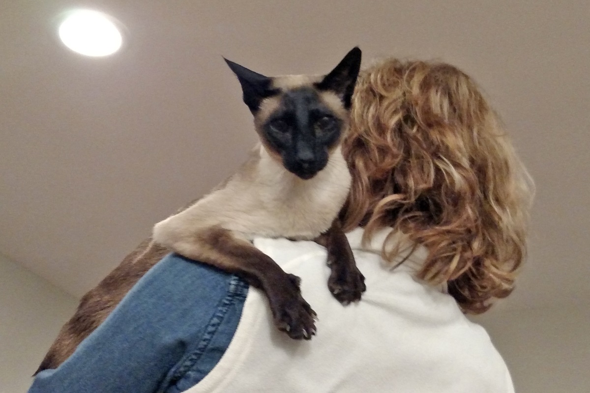 Name:  20170110_JackLisa.jpg
Views: 100
Size:  227.7 KB