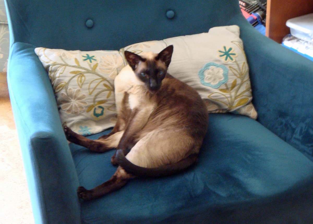 Name:  2014-06-23_Lila.jpg
Views: 109
Size:  305.9 KB