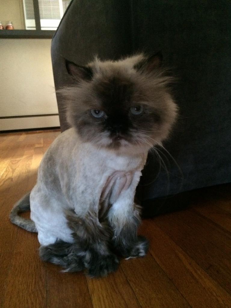 Name:  EC207D86-3987-4709-9692-CF764D7BED3C_zpsq5cy1usv.jpg
Views: 62
Size:  76.3 KB