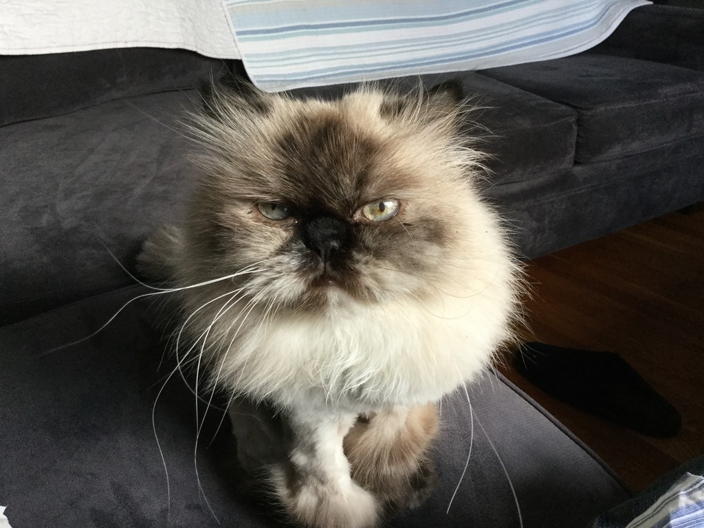 Name:  CF4DFF19-73EF-4D4F-8732-F7CA00A2AB06_zpsktzpsphm.jpg
Views: 103
Size:  218.3 KB