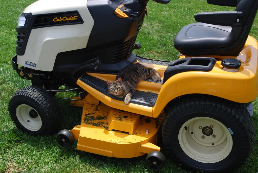 Name:  DSC_0197_zpscafb4dac.jpg
Views: 60
Size:  108.2 KB