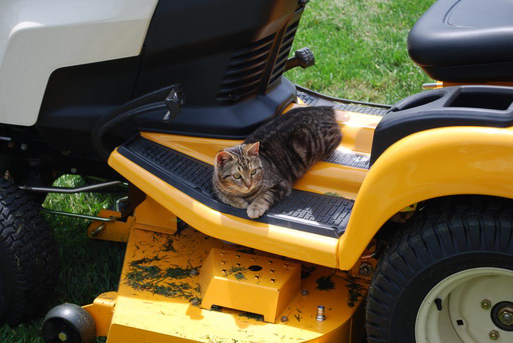 Name:  DSC_0196_zps77a45572.jpg
Views: 44
Size:  81.6 KB