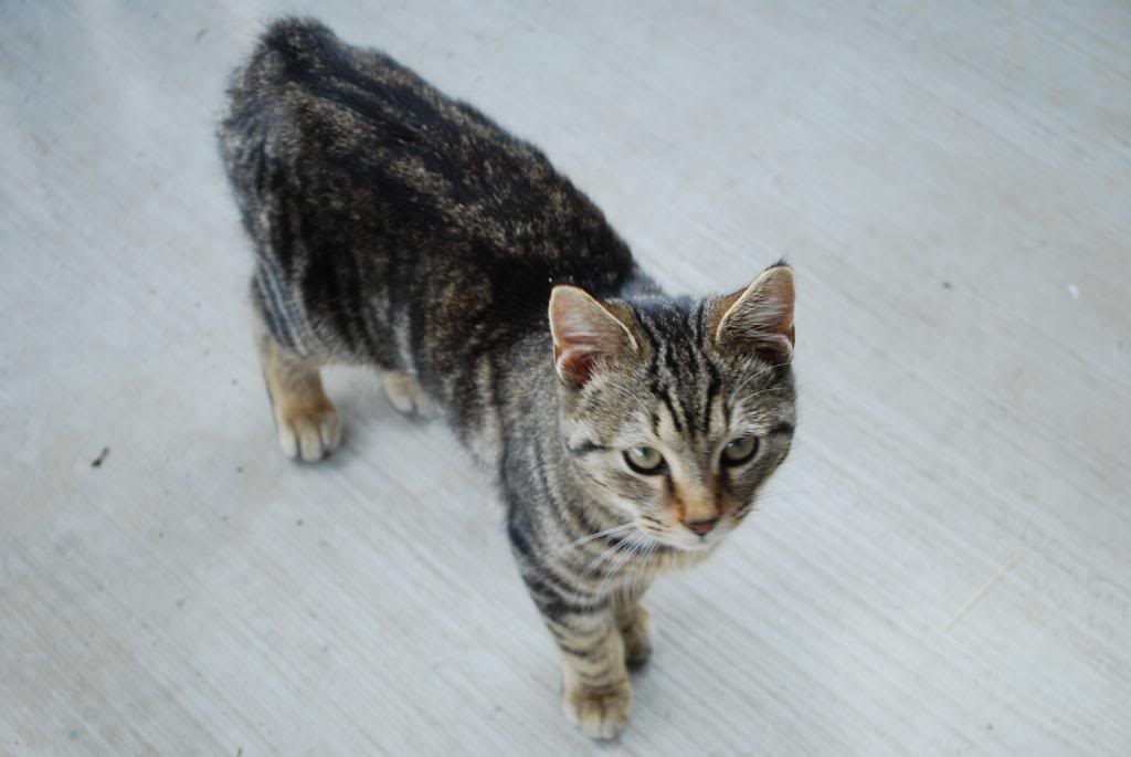 Name:  DSC_0144_zpsdf27488f.jpg
Views: 68
Size:  48.8 KB