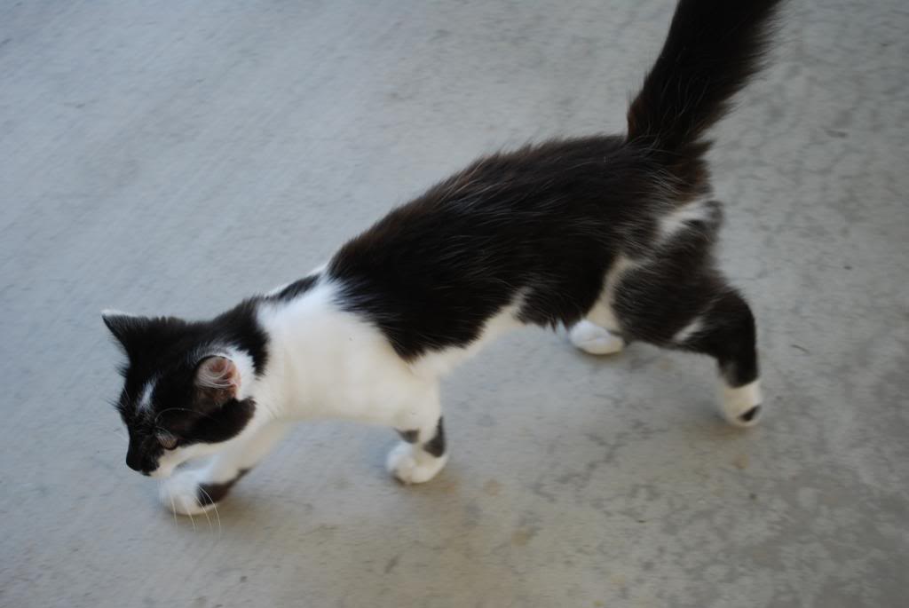 Name:  DSC_1003_zpsdba429f1.jpg
Views: 38
Size:  42.7 KB