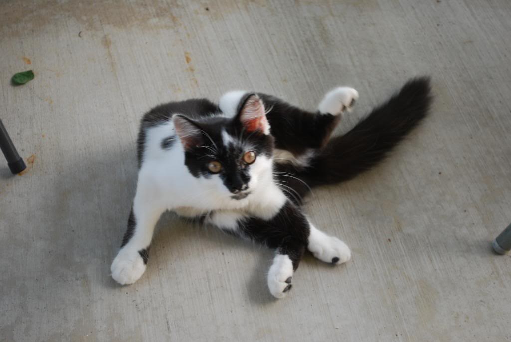 Name:  DSC_1004_zps0c3169d7.jpg
Views: 39
Size:  53.0 KB