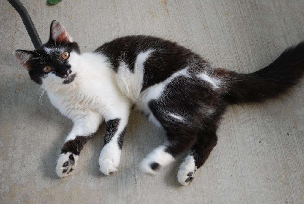 Name:  DSC_1005_zps7532e317.jpg
Views: 37
Size:  68.7 KB