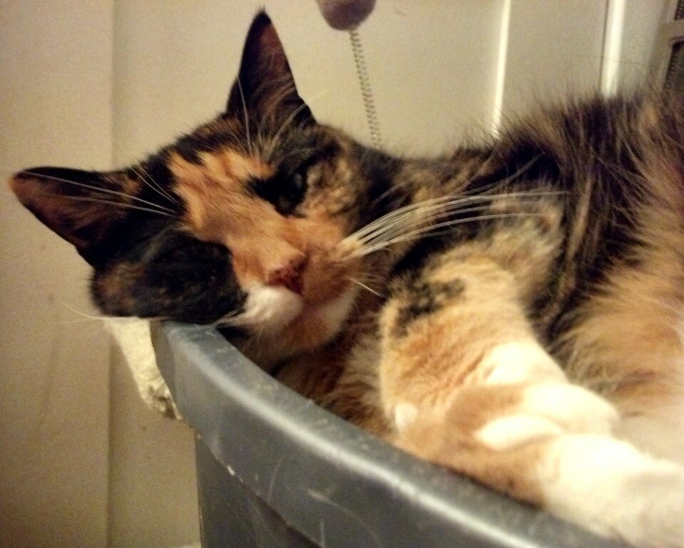 Name:  IMG_20130706_200146_582-picsay.jpg
Views: 46
Size:  194.1 KB