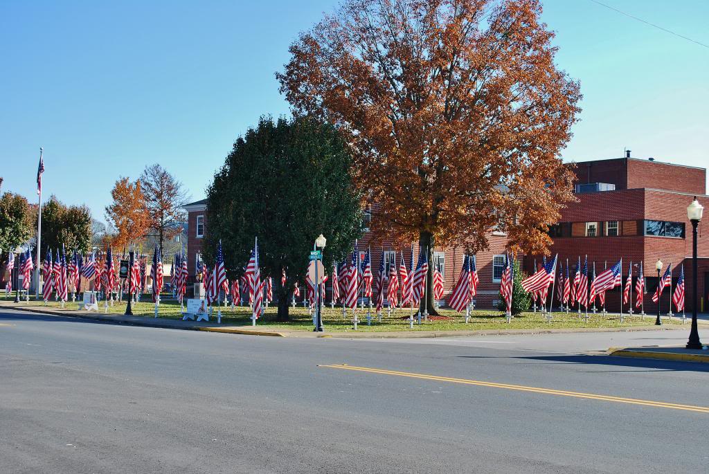 Name:  DSC_0831.jpg
Views: 29
Size:  155.3 KB