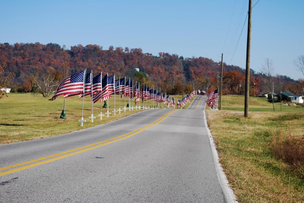 Name:  DSC_0844.jpg
Views: 21
Size:  103.7 KB