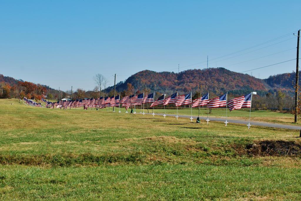 Name:  DSC_0847.jpg
Views: 32
Size:  131.0 KB