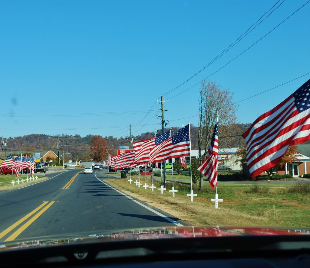 Name:  DSC_0858.jpg
Views: 24
Size:  104.9 KB