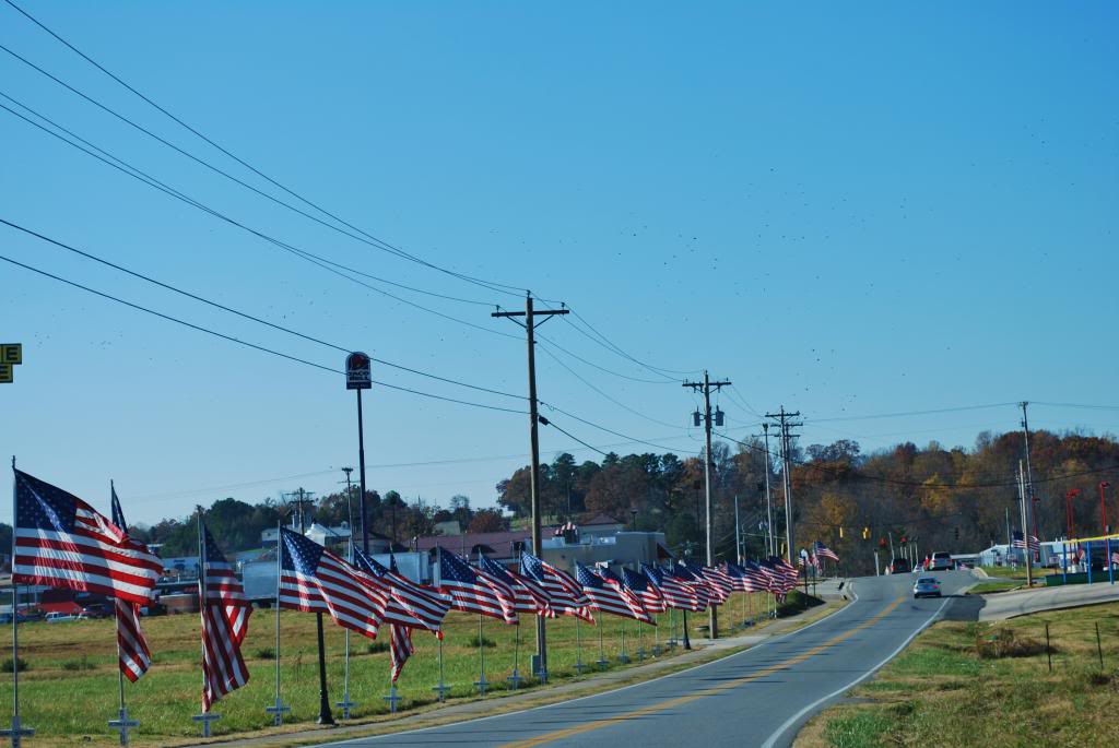 Name:  DSC_0839.jpg
Views: 28
Size:  79.6 KB