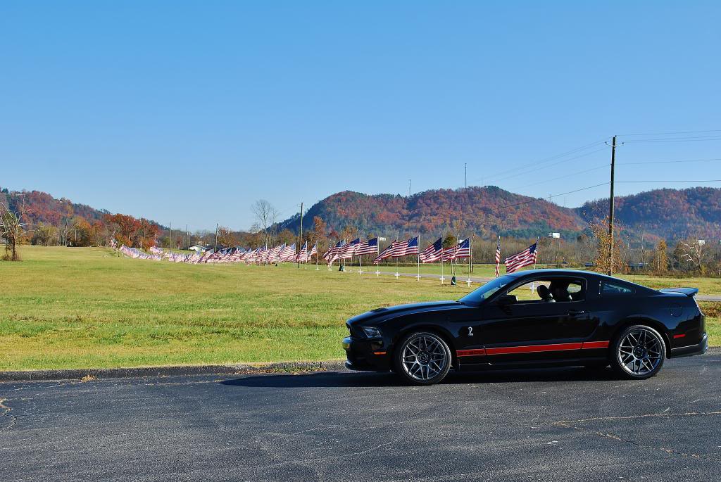 Name:  DSC_0857.jpg
Views: 24
Size:  120.3 KB