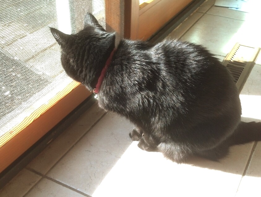 Name:  picsay-1366754695.jpg
Views: 39
Size:  148.8 KB