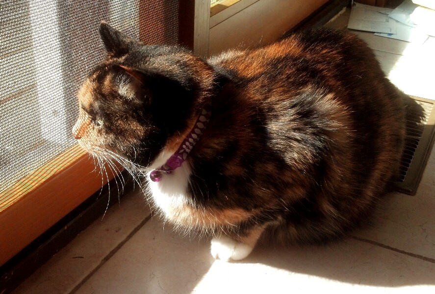 Name:  picsay-1366754258.jpg
Views: 40
Size:  190.4 KB