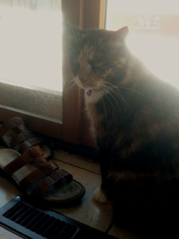 Name:  2013-03-20_14-47-12_565-picsay.jpg
Views: 51
Size:  51.5 KB