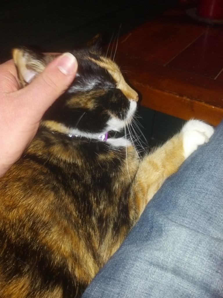 Name:  2013-03-09_15-31-31_876.jpg
Views: 40
Size:  223.4 KB