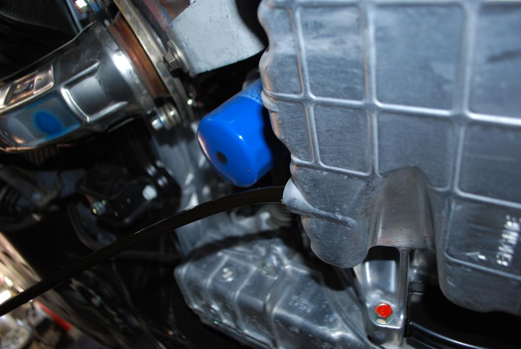 Name:  DSC_0184.jpg
Views: 40
Size:  68.3 KB