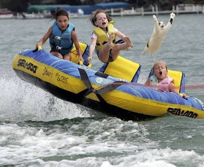 Name:  4354d1269293572-lol-cats-lol-cat-boat-jumping.jpg
Views: 102
Size:  56.7 KB