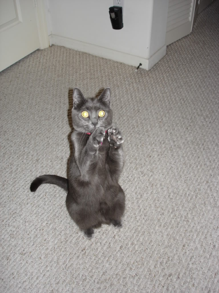 Name:  DSC00014.jpg
Views: 82
Size:  143.1 KB