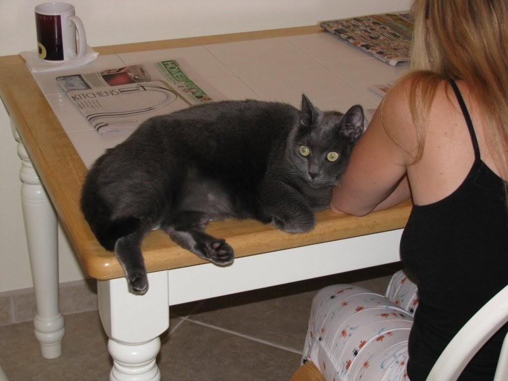 Name:  015.jpg
Views: 87
Size:  75.1 KB