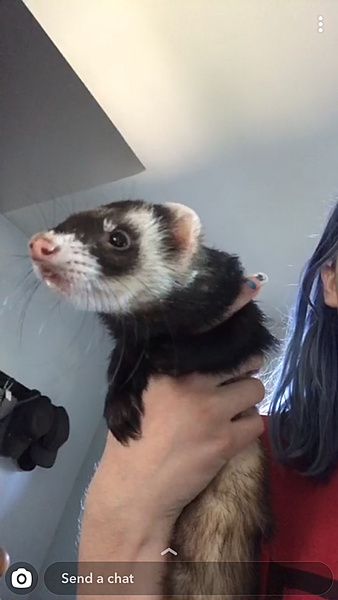 The TMS Cat Thread!-photo658.jpg