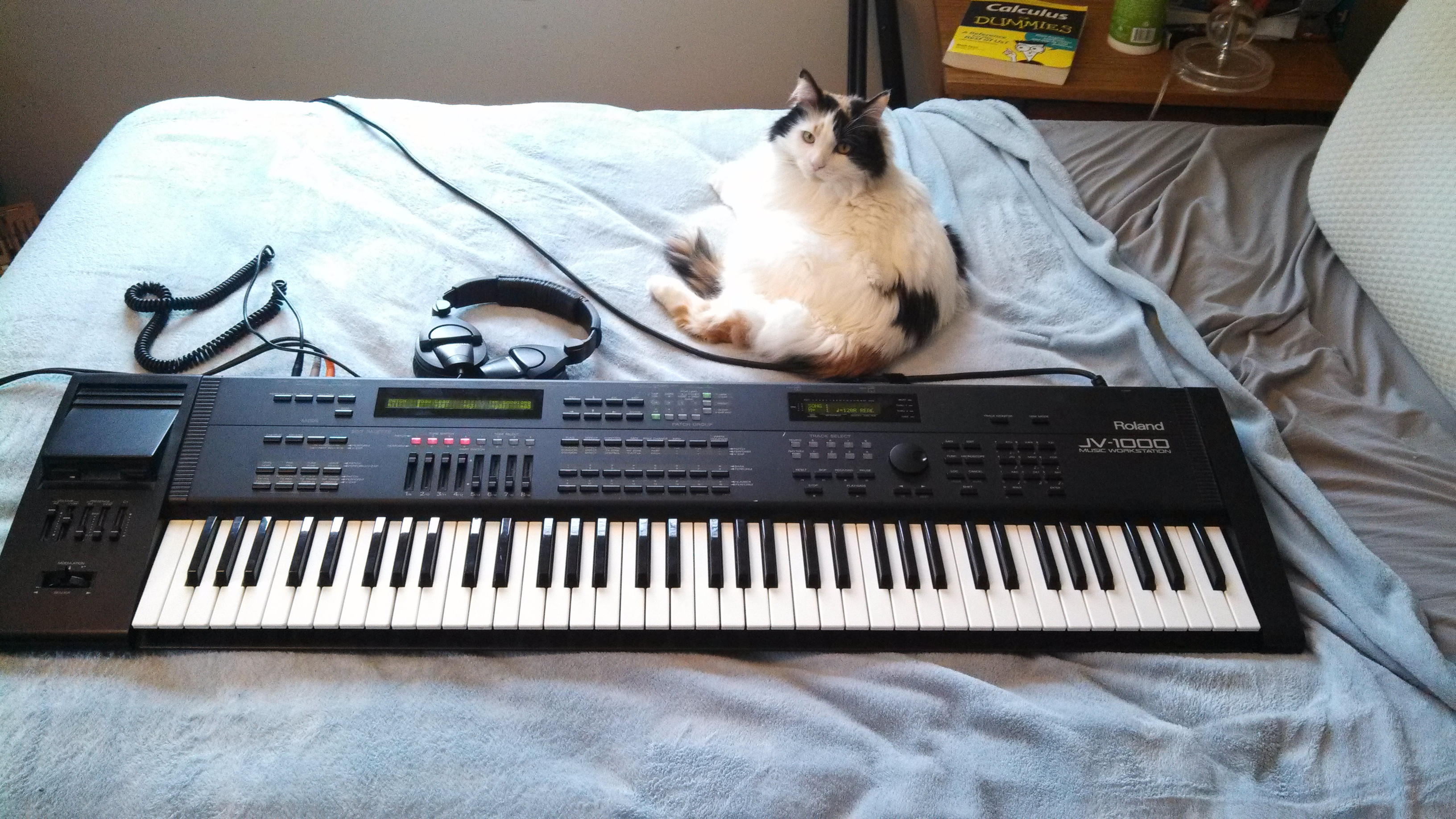 Name:  Rhl9cXG.jpg
Views: 47
Size:  1.78 MB