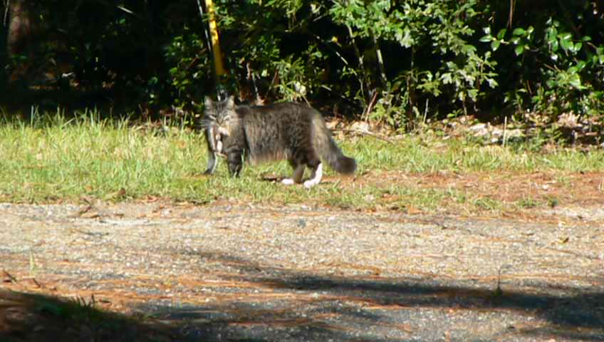 Name:  UAaNsDE.jpg
Views: 32
Size:  53.2 KB