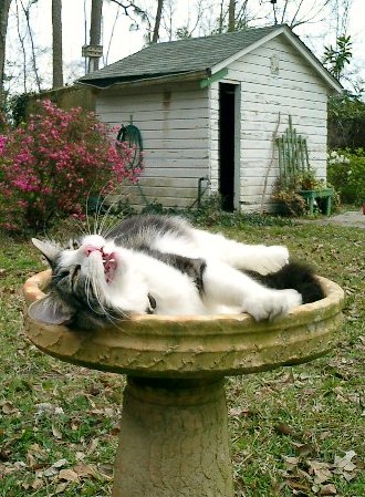 Name:  W7beaTC.jpg
Views: 26
Size:  61.2 KB