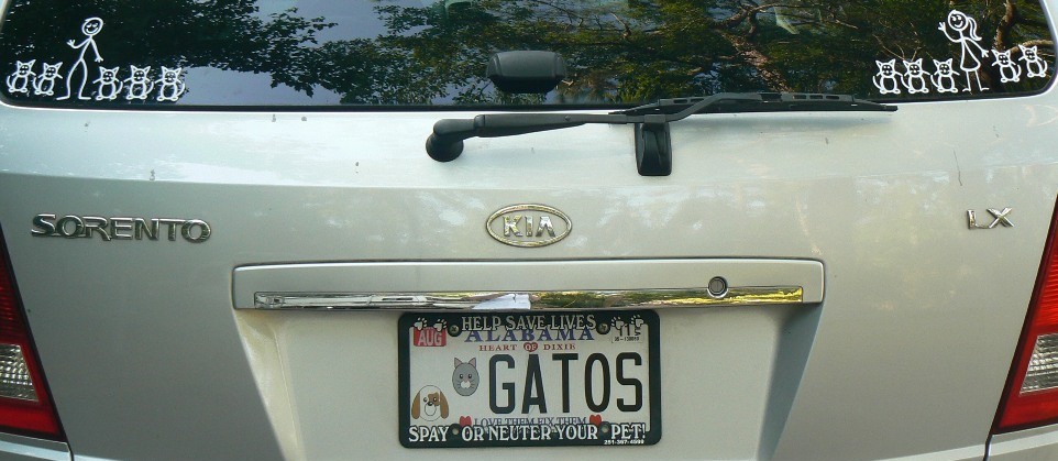 Name:  8GGEYzx.jpg
Views: 32
Size:  110.0 KB