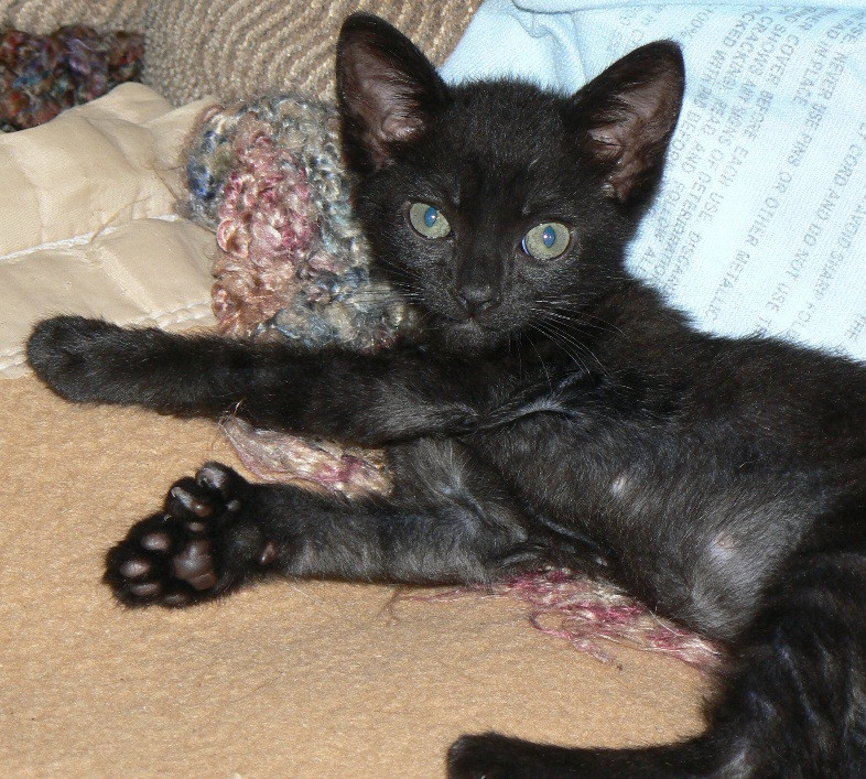 Name:  wMGgFQN.jpg
Views: 32
Size:  242.8 KB