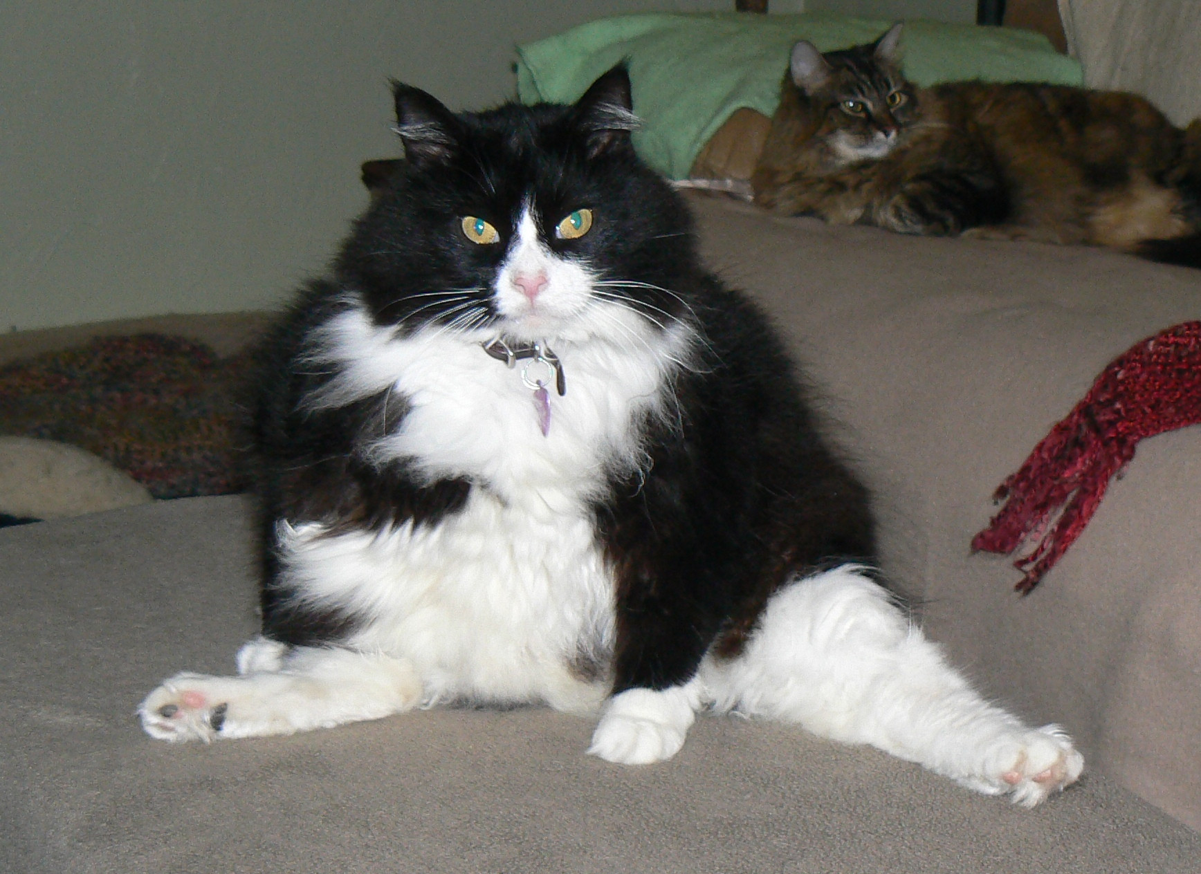 Name:  TSWqCwh.jpg
Views: 33
Size:  514.3 KB