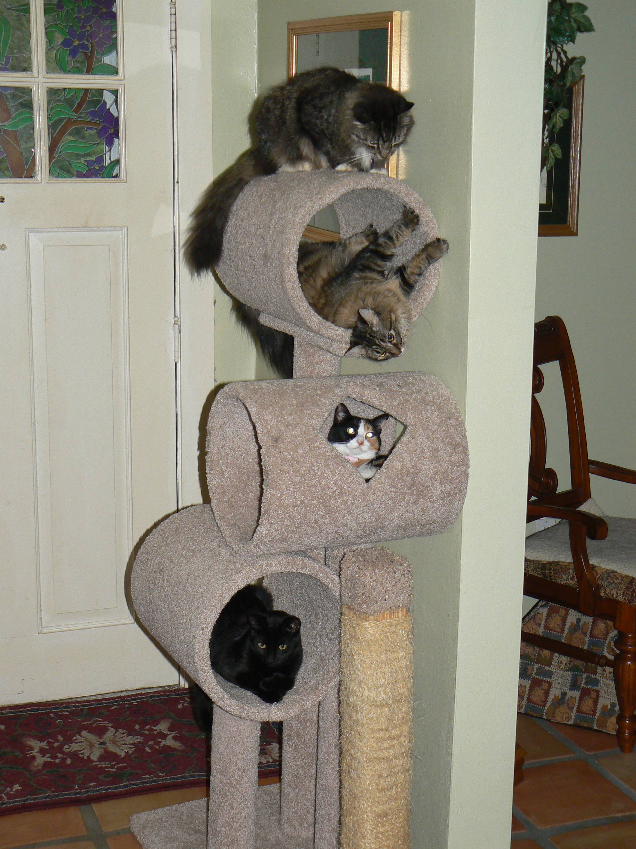 Name:  PXv8hhl.jpg
Views: 32
Size:  664.7 KB