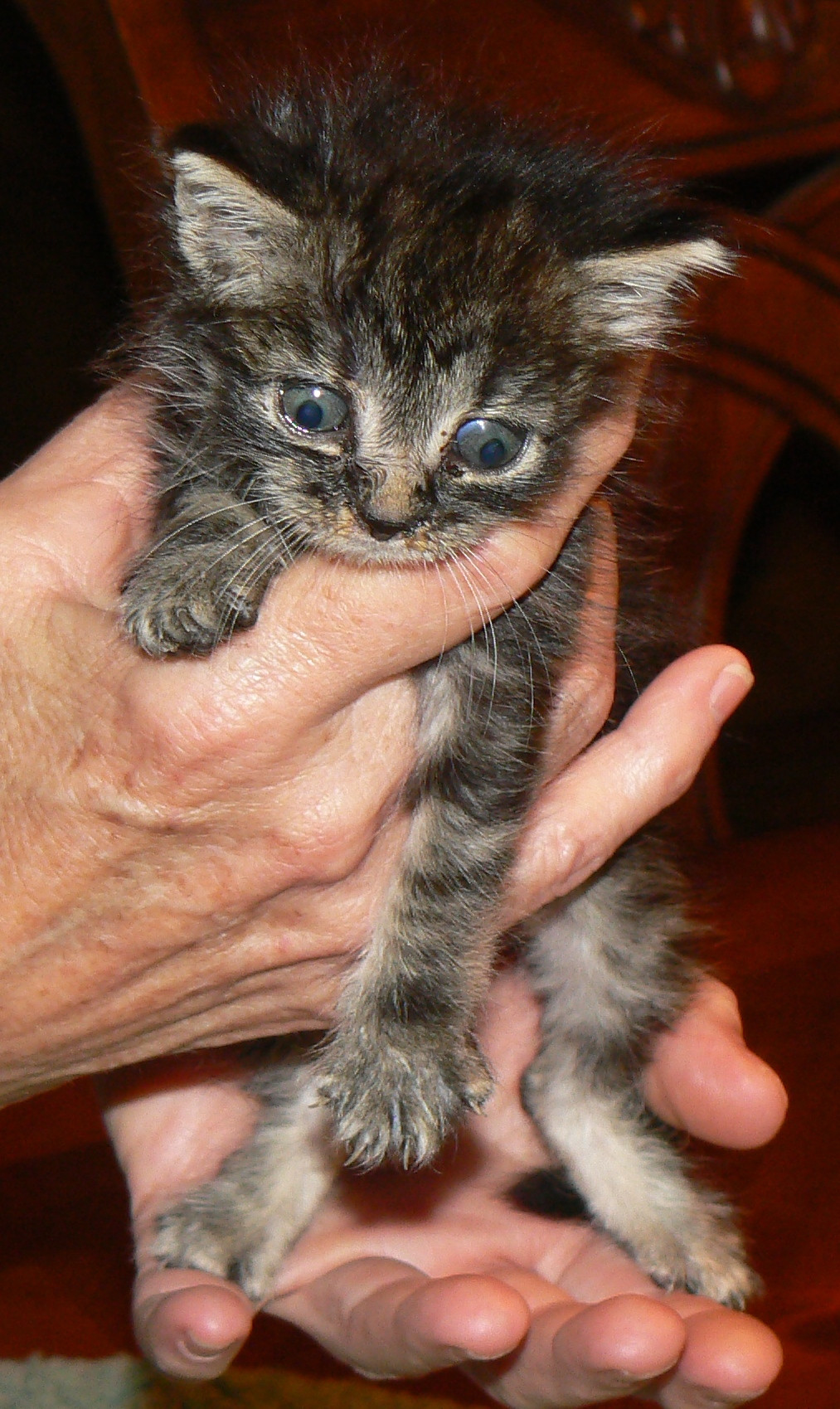 Name:  AlaclZf.jpg
Views: 29
Size:  501.7 KB