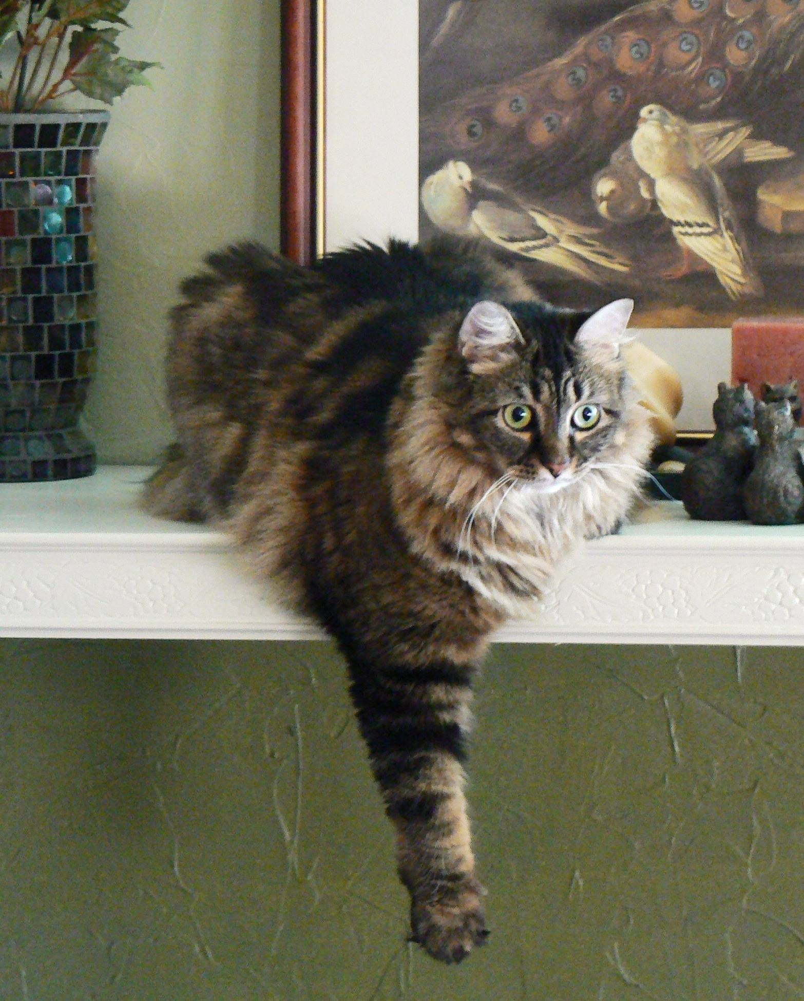 Name:  wCoCwz2.jpg
Views: 28
Size:  324.1 KB