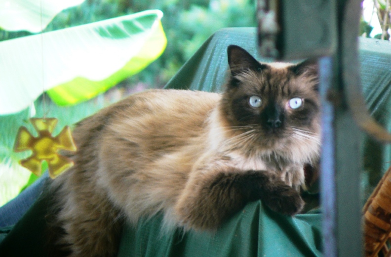 Name:  xIQvgw4.jpg
Views: 28
Size:  167.9 KB