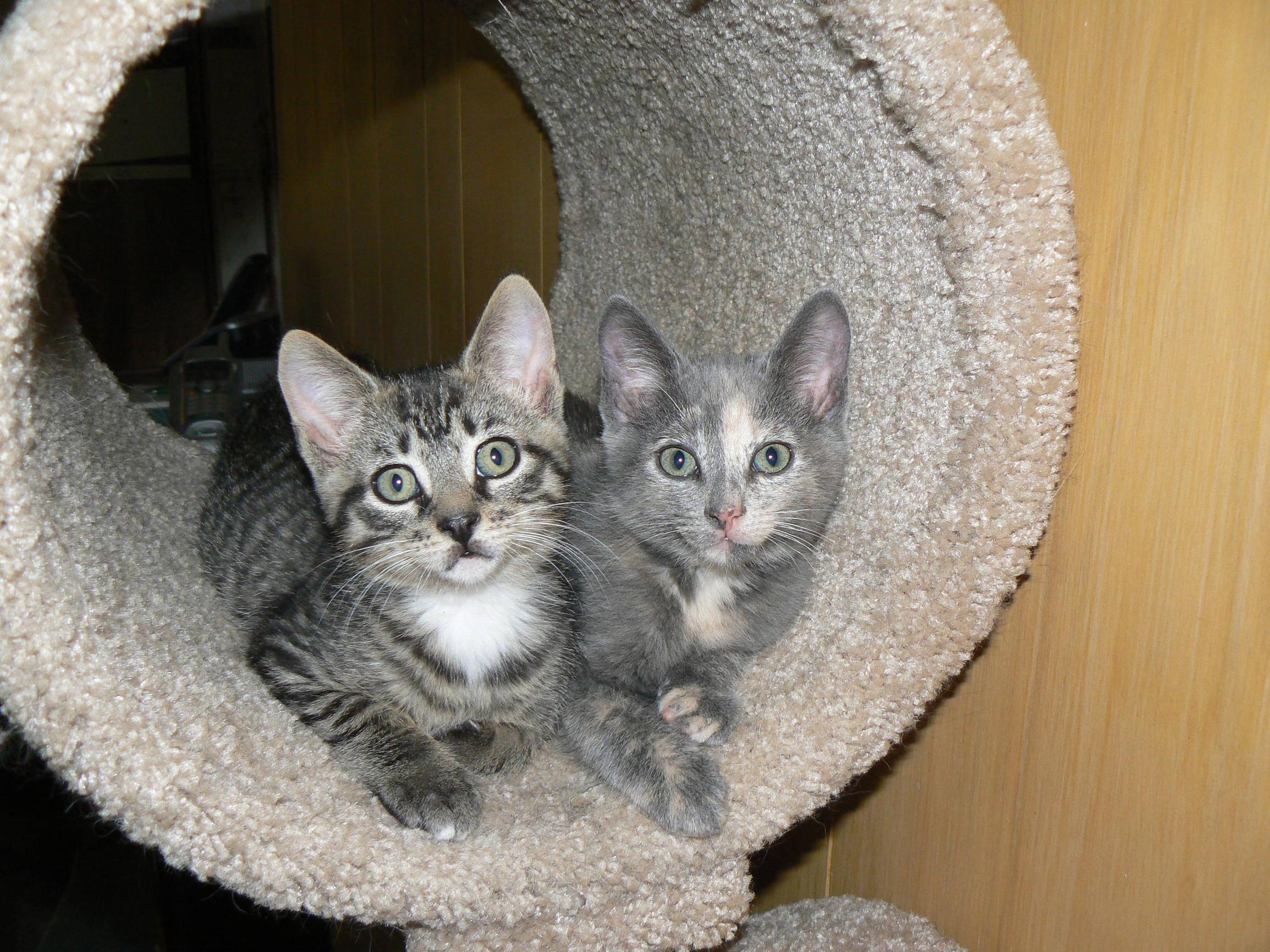 Name:  r3o5oIa.jpg
Views: 28
Size:  629.5 KB