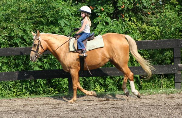 Show Off Your Kids!-resize-wizard-1.jpg