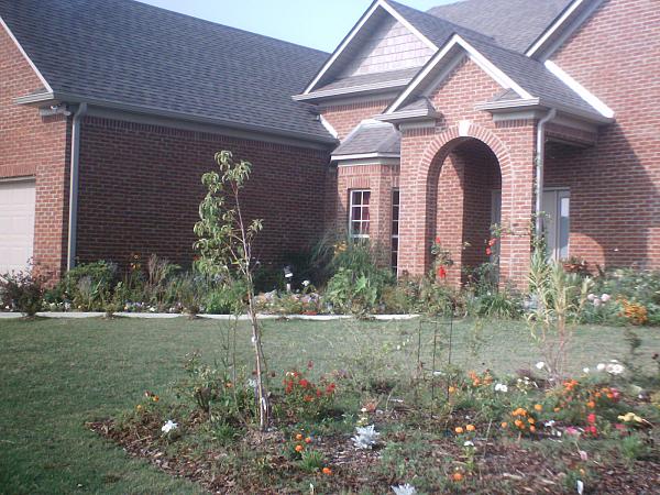 Has anyone ever utilized St. Joseph?-garden-009.jpg