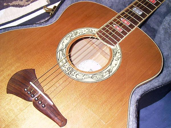 Another addition to the Guitar Family-siren2.jpg