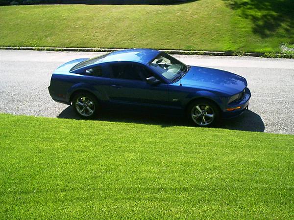 The Grass is Always Greener-imag0006.jpg