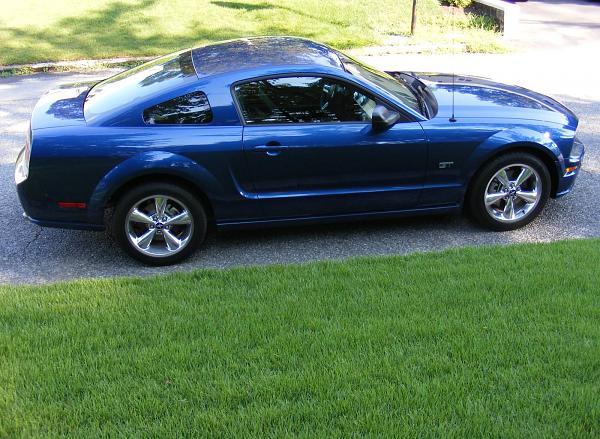 The Grass is Always Greener-new-cam.jpg