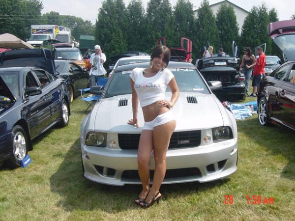 New Mustang Lurker Avatar-picture-384.jpg