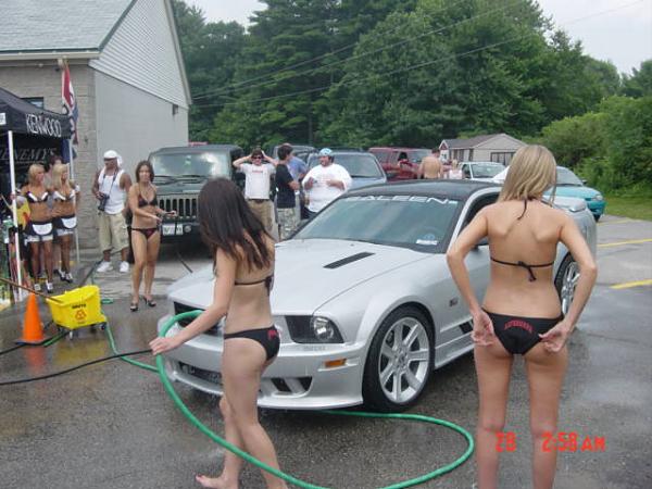 New Mustang Lurker Avatar-picture-386.jpg