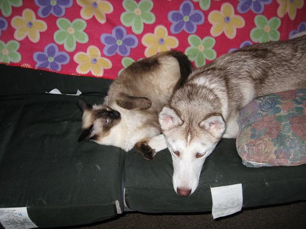 Miss Me?-kiska-003.jpg