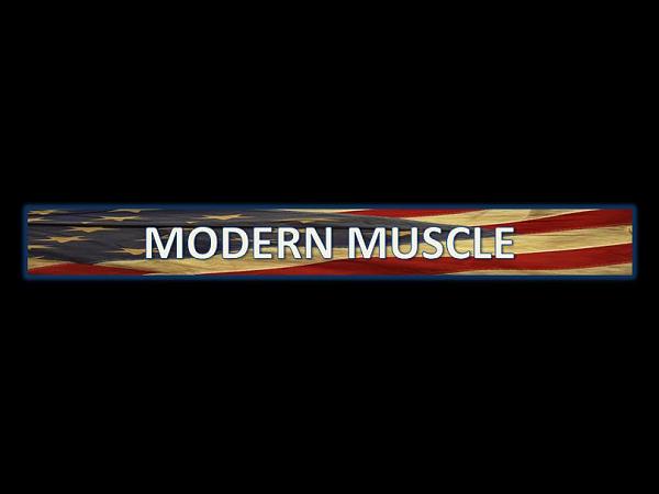My website!-modern-muscle-title-block.jpg