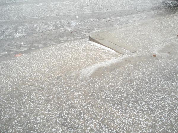 Hail Hail the Gangs all Here!-hail-001.jpg