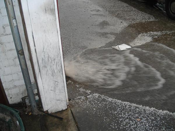 Hail Hail the Gangs all Here!-hail-003.jpg