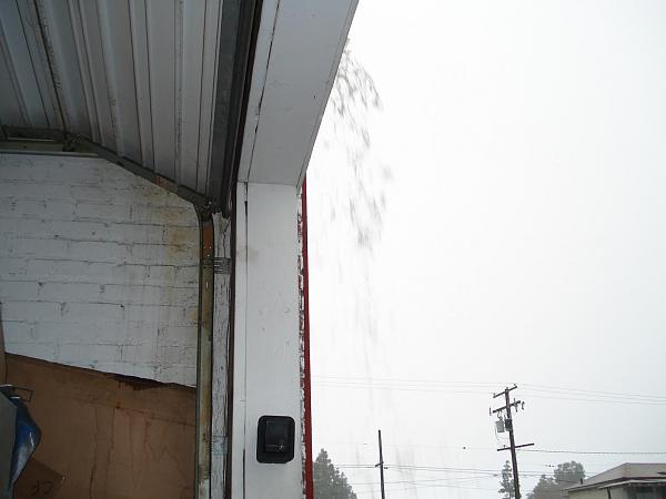 Hail Hail the Gangs all Here!-hail-004.jpg