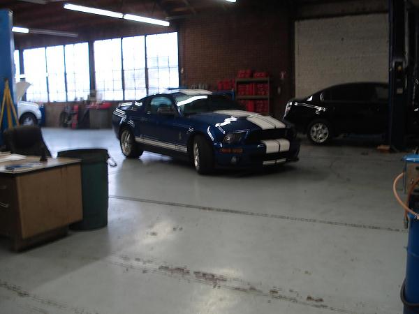 Hail Hail the Gangs all Here!-hail-005.jpg